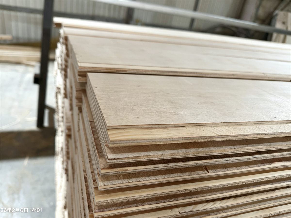 Extra poplar layer lamination for H20 timber beams